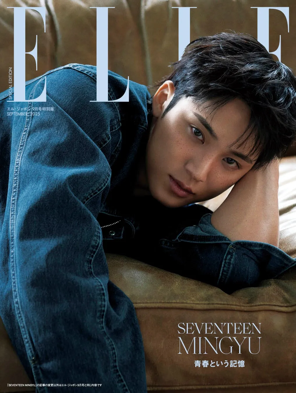 SEVENTEEN MINGYU中面画像