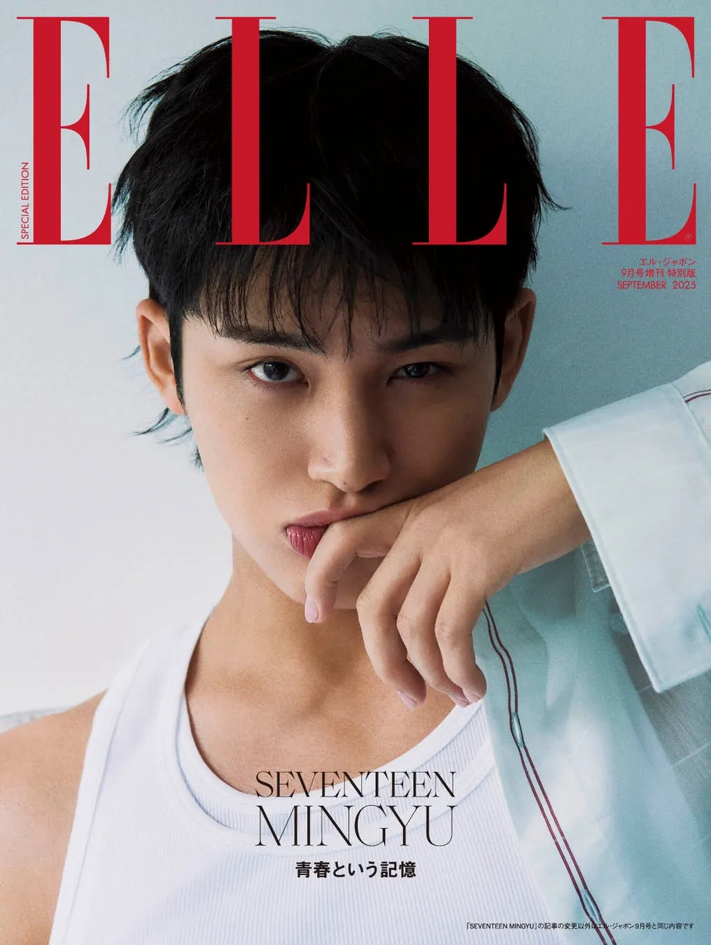 SEVENTEEN MINGYU特別版B ver.